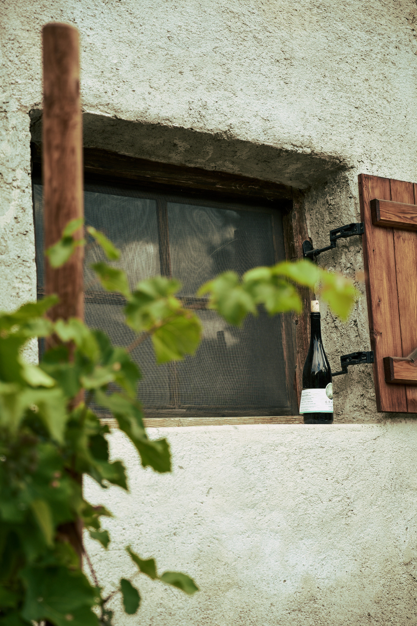 Eine GRAWÜ-Weinflasche am alten Holzfenster, umgeben von Weinlaub